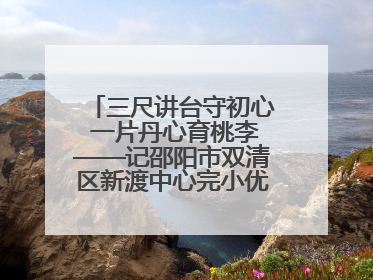 三尺讲台守初心 一片丹心育桃李——记邵阳市双清区新渡中心完小优秀教师姚丹