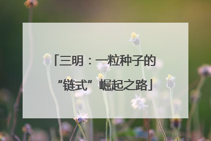 三明：一粒种子的“链式”崛起之路