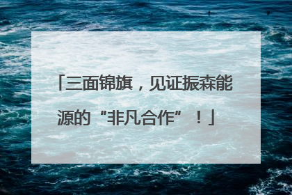 三面锦旗，见证振森能源的“非凡合作”！