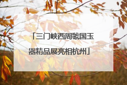 三门峡西周虢国玉器精品展亮相杭州