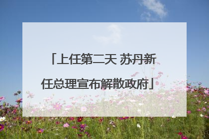 上任第二天 苏丹新任总理宣布解散政府