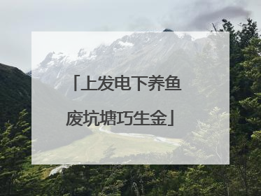 上发电下养鱼 废坑塘巧生金