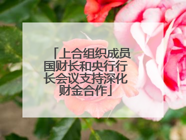 上合组织成员国财长和央行行长会议支持深化财金合作