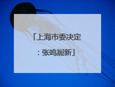 上海市委决定：张鸣履新