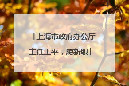 上海市政府办公厅主任王平，履新职