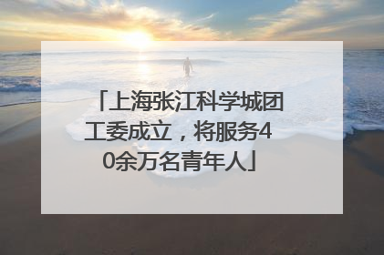 上海张江科学城团工委成立，将服务40余万名青年人