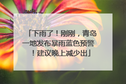 下雨了！刚刚，青岛一地发布暴雨蓝色预警！建议晚上减少出