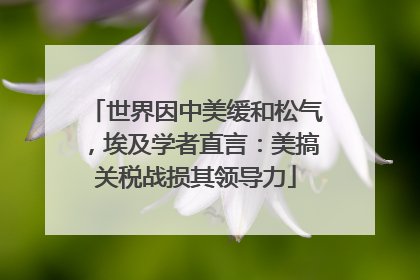 世界因中美缓和松气，埃及学者直言：美搞关税战损其领导力
