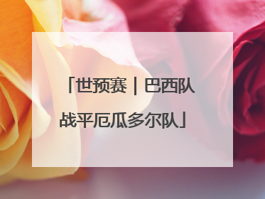 世预赛｜巴西队战平厄瓜多尔队