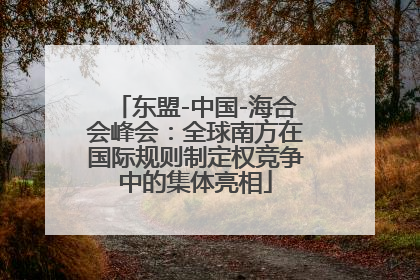 东盟-中国-海合会峰会：全球南方在国际规则制定权竞争中的集体亮相