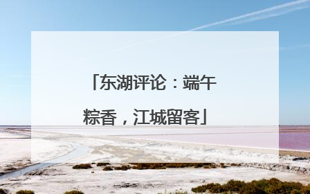 东湖评论：端午粽香，江城留客