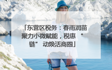 东营区税务：春雨润苗聚力小微赋能，税惠 “链” 动焕活商圈
