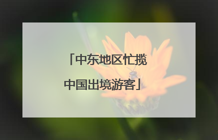 中东地区忙揽中国出境游客