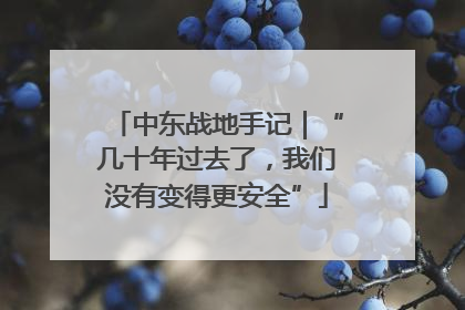 中东战地手记｜“几十年过去了，我们没有变得更安全”