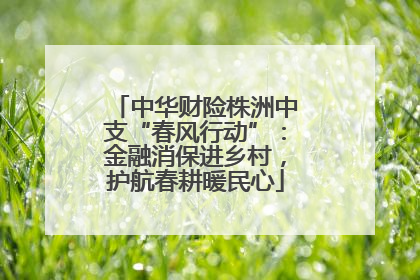 中华财险株洲中支“春风行动”：金融消保进乡村，护航春耕暖民心
