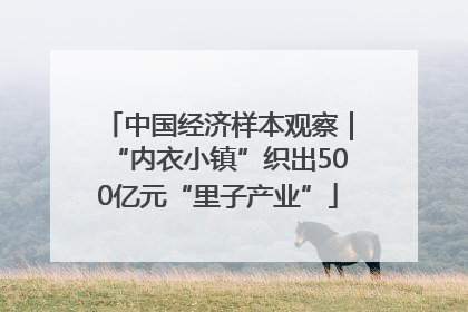 中国经济样本观察｜“内衣小镇”织出500亿元“里子产业”