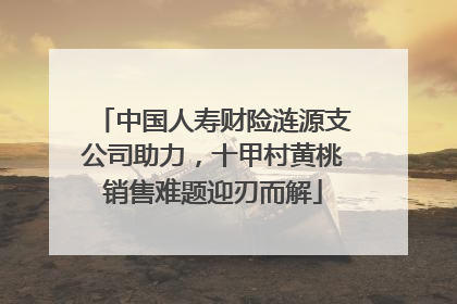 中国人寿财险涟源支公司助力，十甲村黄桃销售难题迎刃而解