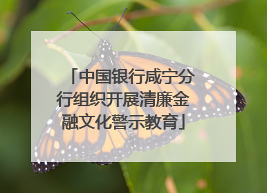 中国银行咸宁分行组织开展清廉金融文化警示教育
