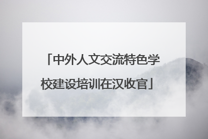 中外人文交流特色学校建设培训在汉收官