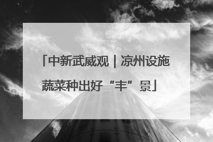 中新武威观｜凉州设施蔬菜种出好“丰”景