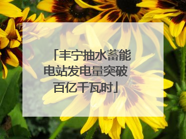 丰宁抽水蓄能电站发电量突破百亿千瓦时