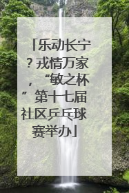 乐动长宁？戎情万家，“敏之杯”第十七届社区乒乓球赛举办
