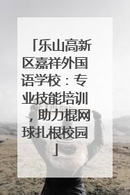 乐山高新区嘉祥外国语学校：专业技能培训，助力棍网球扎根校园