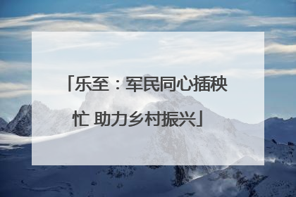 乐至：军民同心插秧忙 助力乡村振兴