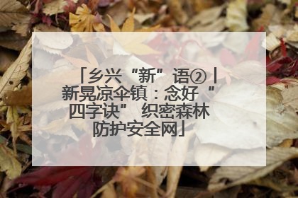 乡兴“新”语②丨新晃凉伞镇：念好“四字诀” 织密森林防护安全网