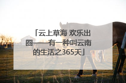 云上草海 欢乐出圈——有一种叫云南的生活之365天