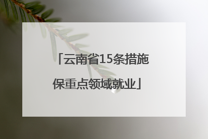 云南省15条措施保重点领域就业