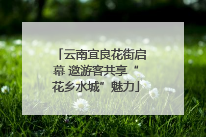 云南宜良花街启幕 邀游客共享“花乡水城”魅力
