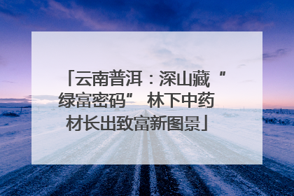 云南普洱：深山藏“绿富密码” 林下中药材长出致富新图景