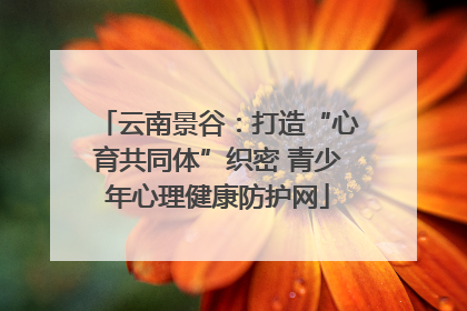 云南景谷：打造“心育共同体”织密 青少年心理健康防护网