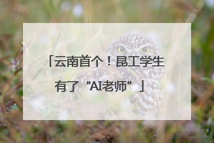 云南首个！昆工学生有了“AI老师”