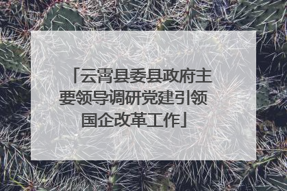 云霄县委县政府主要领导调研党建引领国企改革工作