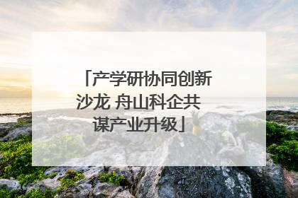 产学研协同创新沙龙 舟山科企共谋产业升级
