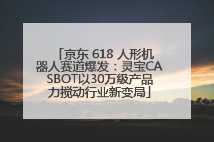 京东 618 人形机器人赛道爆发：灵宝CASBOT以30万级产品力搅动行业新变局