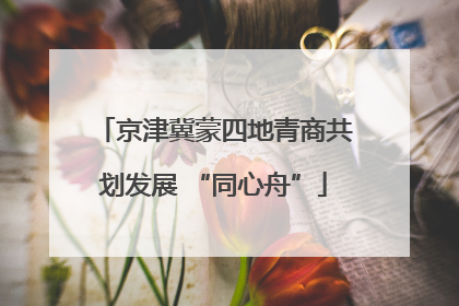 京津冀蒙四地青商共划发展 “同心舟”