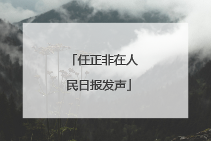 任正非在人民日报发声
