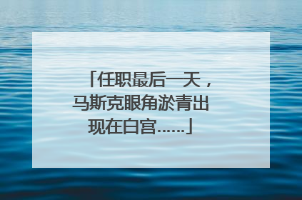 任职最后一天，马斯克眼角淤青出现在白宫……
