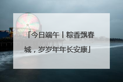 今日端午丨粽香飘春城，岁岁年年长安康