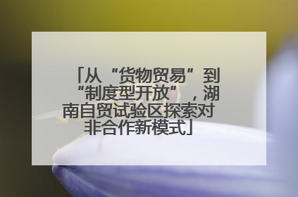 从“货物贸易”到“制度型开放”，湖南自贸试验区探索对非合作新模式
