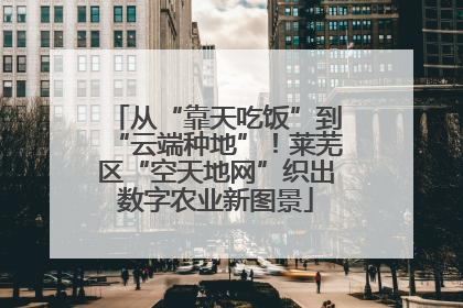 从“靠天吃饭”到“云端种地”！莱芜区“空天地网”织出数字农业新图景