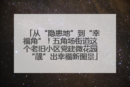 从“隐患地”到“幸福角”！五角场街道这个老旧小区党建微花园“靓”出幸福新图景