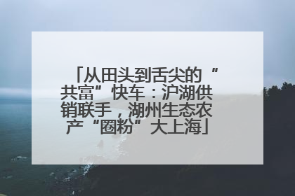 从田头到舌尖的“共富”快车：沪湖供销联手，湖州生态农产“圈粉”大上海
