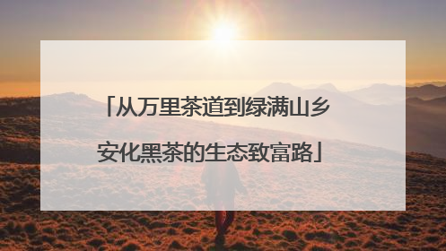 从万里茶道到绿满山乡 安化黑茶的生态致富路