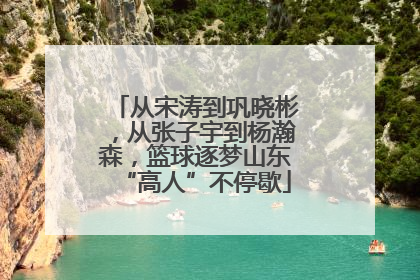 从宋涛到巩晓彬，从张子宇到杨瀚森，篮球逐梦山东“高人”不停歇