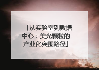 从实验室到数据中心：美光颗粒的产业化突围路径