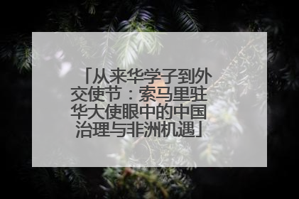 从来华学子到外交使节：索马里驻华大使眼中的中国治理与非洲机遇